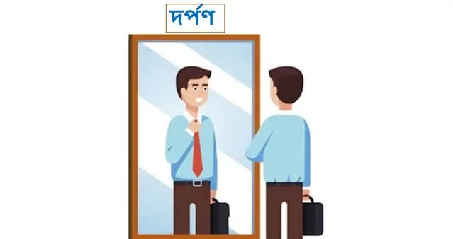 দর্পণ কি? সংজ্ঞা, প্রকার ও ব্যবহার